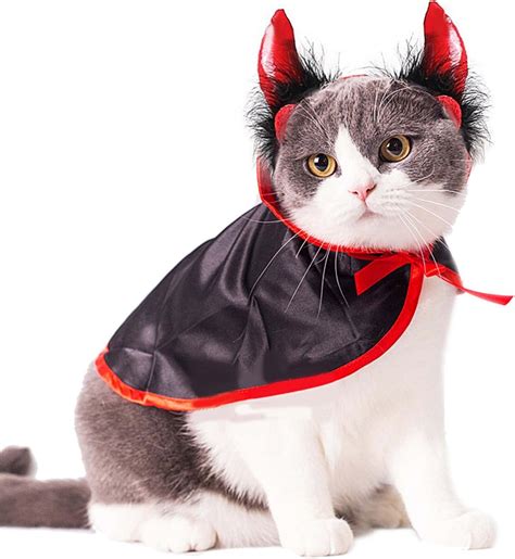 cat costume spirit halloween